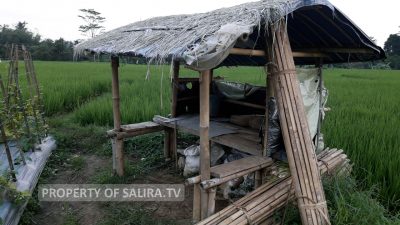 Salira TV – Rural in Indonesia