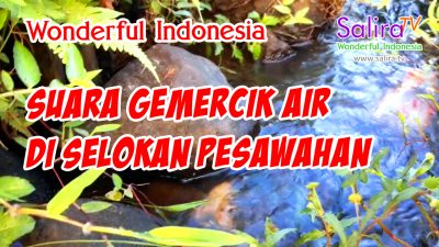 Suara Gemercik Air di Selokan Sawah Pedesaan Tasikmalaya Jawa Barat