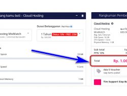 Berapa Biaya Sewa Domain dan Hosting Salira TV per Tahunnya?