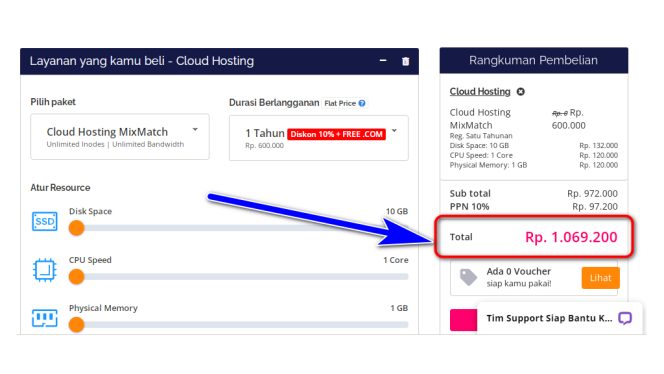 Berapa Biaya Sewa Domain dan Hosting Salira TV per Tahunnya?