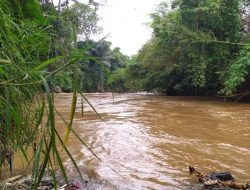 4K Relax Nature – Citanduy River Water Sound – Ciamis, Indonesia
