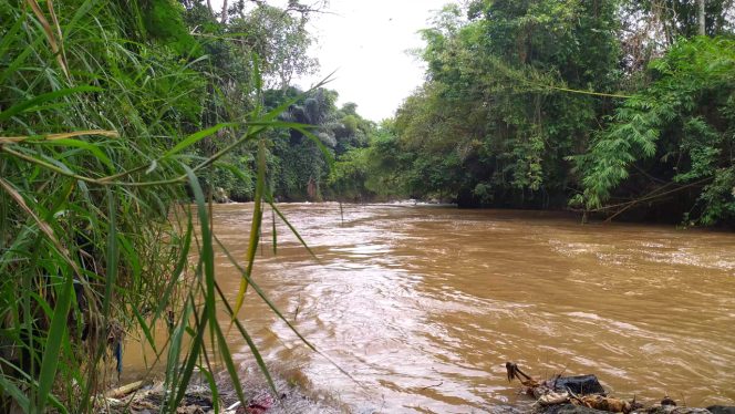 4K Relax Nature – Citanduy River Water Sound – Ciamis, Indonesia
