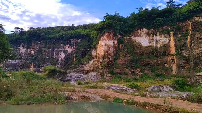 Real Bird Sounds in Nature – Wonderful Gunung Kapur Klapanunggal Bogor Jawa Barat