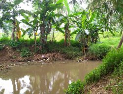 Wonderful Leuwi Kunti Ciamis Jawa Barat