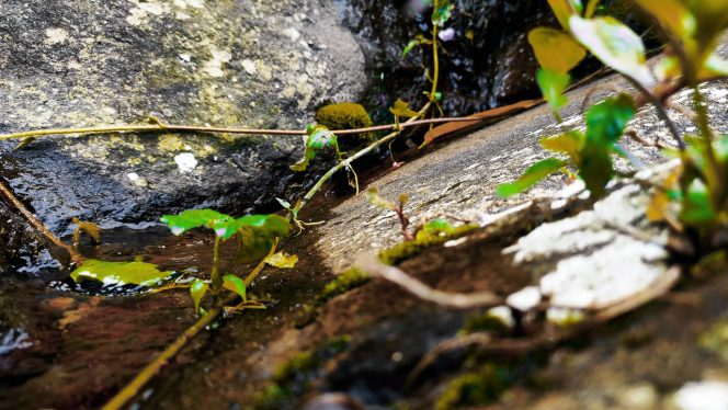 4K Beautiful Waterflow – Insomnia Relaxation – Bedtime