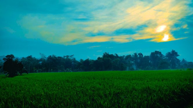 4K Relax Nature – Beautiful Morning in Rural Indonesia