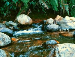 4K Relax Nature, Peaceful River Sound for Better Meditation