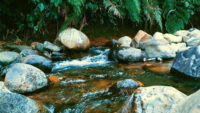 4K Relax Nature, Peaceful River Sound for Better Meditation