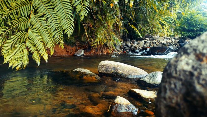 4K Relax Nature – Sound of Clear River Water, Yoga Meditation Calm