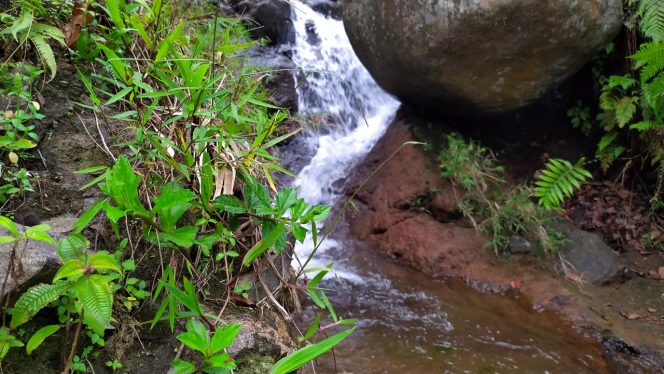 4K Relax Nature – Sound of Water from Mountain River