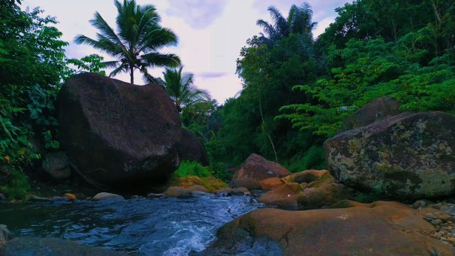 4K Relax Nature – Village River Water Sound for Insomnia (Better Sleep)