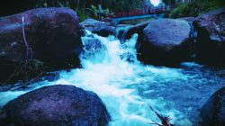 4K Relax Nature – Water Stream, Better Sleep, Studi, and Meditate