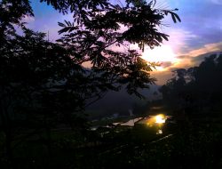4K Relax Nature – Wonderful Roadside Hill Indonesia