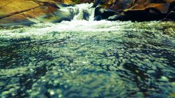 4K Relax Nature – Wonderful Water Stream for Meditation Calm Yoga