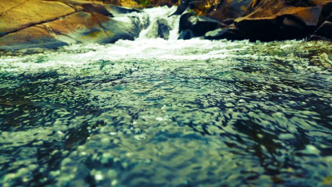 4K Relax Nature – Wonderful Water Stream for Meditation Calm Yoga