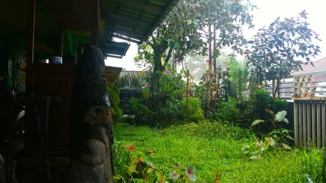 Original Videos Rainwater Sounds for Relaxation, Better Sleep, Insomnia, Yoga