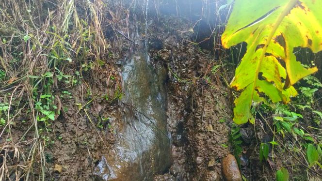 Relax Nature – Sound of Water in Indonesia’s Rice Field