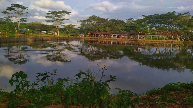Situ Rancamaya Fishing Pond – Ciamis