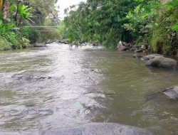 Relax Nature – Sound of River Water – Indonesian Forest