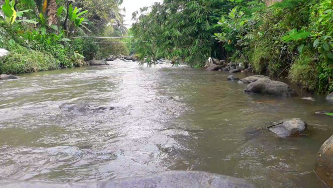Relax Nature – Sound of River Water – Indonesian Forest