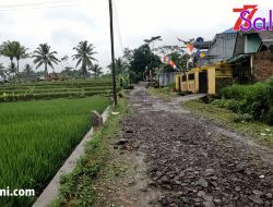 Inilah Nomor Kontak WhatsApp untuk Melaporkan Kondisi Jalan Rusak
