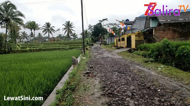 Inilah Nomor Kontak WhatsApp untuk Melaporkan Kondisi Jalan Rusak