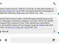 Memilih Paket Data Telkomsel AS yang Cocok untuk yang Kantongnya Tipis