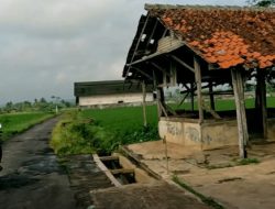 Salira TV Hadirkan Relax Nature Indonesia: Pesona Alam Nusantara dalam Genggaman