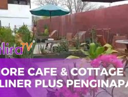 Amore Cafe dan Cottage, Perpaduan Kuliner dan Penginapan Bernuansa Alam di Labuan Bajo