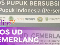Kios UD Cemerlang Deli Serdang Diduga Jual Pupuk Subsidi di Atas HET, Petani Merugi