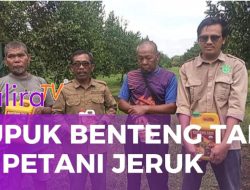 Petani Jeruk Indragiri Hilir Riau Terapkan Pupuk Organik Benteng Tani
