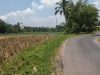 Plogging Salira TV: Aksi Nyata Cinta Lingkungan di Sariwangi, Tasikmalaya