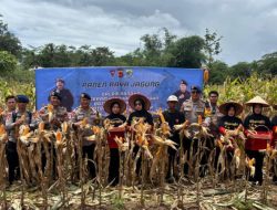 Danyon D Pelopor pimpin panen raya jagung, dukung ketahanan pangan nasional
