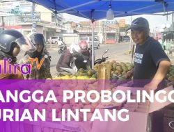Durian Kujang Ciamis Hadirkan Ragam Baru: Manisnya Mangga Probolinggo dan Durian Lintang Palembang