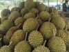 Kedai Durian Kujang Cikoneng Ciamis Jadi Magnet Kuliner, Tokoh Kuasa Hukum Kondang dari Cirebon Datang Khusus untuk Menikmati Rasa Juara