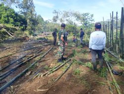 Sinergi TNI dan Warga Pasirsalam, Lahan Kantor KDMP Mulai Dipersiapkan