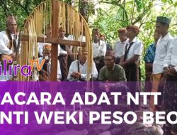 Upacara Penti Weki Peso Beo di Gendang Mawe Jadi Ungkapan Syukur Panen dan Pergantian Tahun