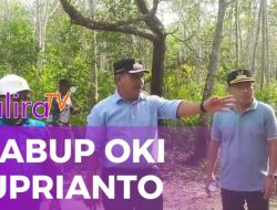 Wabup OKI Suprianto meninjau progres jaringan listrik baru di Pedamaran