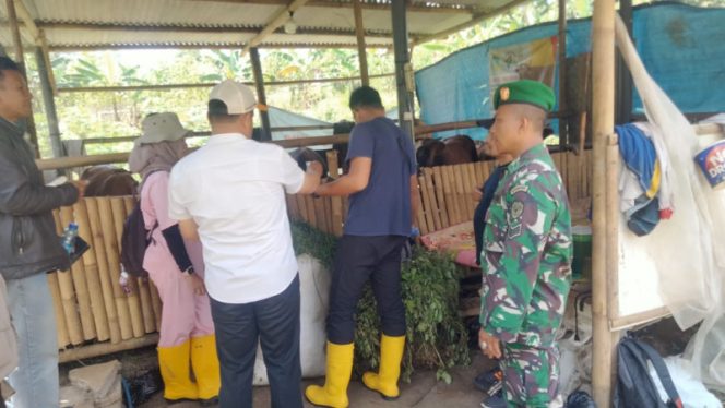 Babinsa Singasari Serma Suryadi dan Dinas Peternakan Perkuat Ketahanan Pangan melalui Vaksinasi Ternak di Bunisari