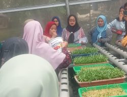 Desa Blankahan Dorong Ketahanan Pangan Melalui Pelatihan Hidroponik