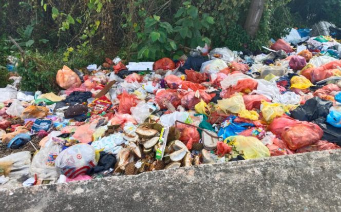 Dinas Lingkungan Hidup Karimun Dinilai Lalai Awasi Pengelolaan Sampah