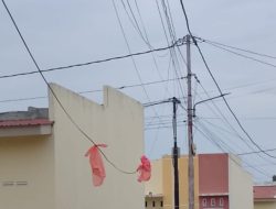 Kabel Provider Bergantungan Rendah, Warga Minta Ketegasan PLN Karimun