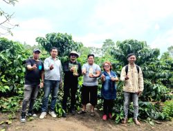 Team Pro Pupuk Benteng Tani Berkunjung ke Lahan Kopi Organik di Desa Lait Lait, Kabupaten Tapanuli Utara