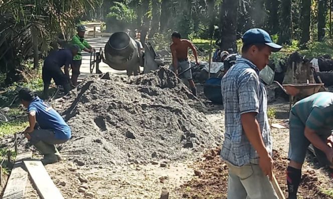 Pemerintah Desa Sido Makmur Selesaikan Infrastruktur Jalan Rabat Beton