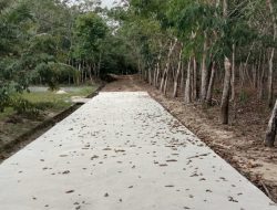 Proyek Semenisasi Jalan Di Karimun Dibangun Di Area Kebun, Publik Pertanyakan Urgensinya