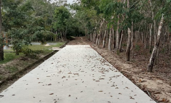 Proyek Semenisasi Jalan Di Karimun Dibangun Di Area Kebun, Publik Pertanyakan Urgensinya