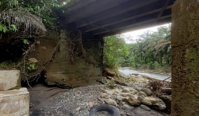 Bina Marga Langkat Tinjau Jembatan Rusak di Dusun Sido Rukun