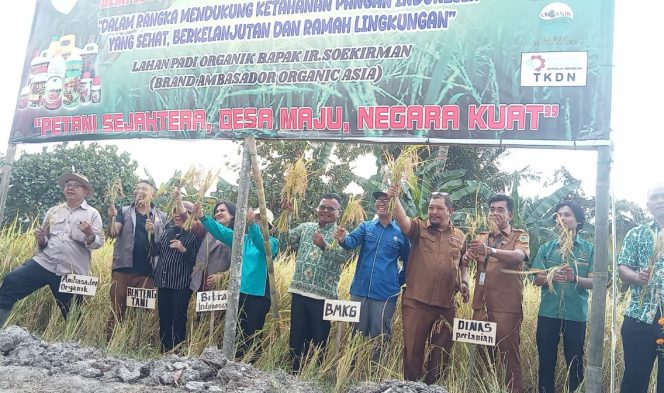 Panen Raya Padi Desa Sukajadi Serdang Bedagai Tunjukkan Keberhasilan Pertanian Organik