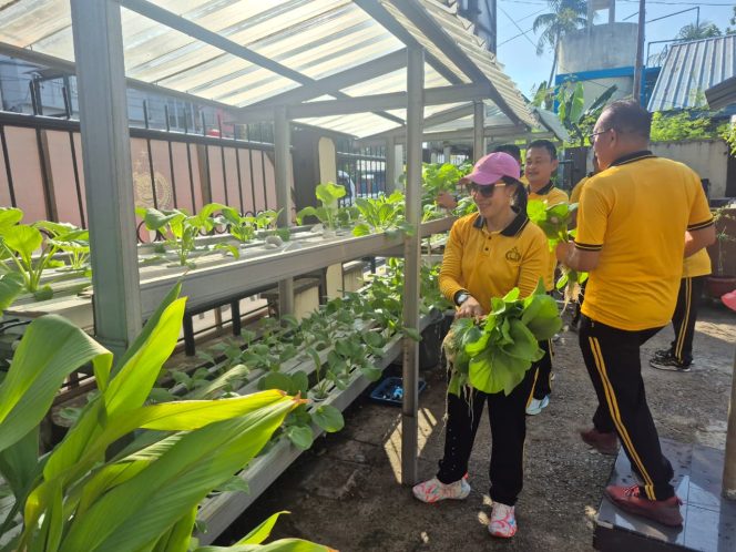 Polres Karimun Panen Ikan dan Sawi untuk Perkuat Ketahanan Pangan