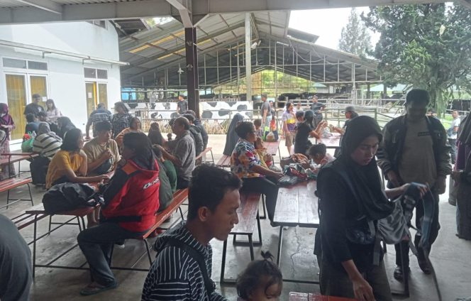 Wisata Edukasi Pemerasan Susu Sapi Jadi Daya Tarik di Tanah Karo